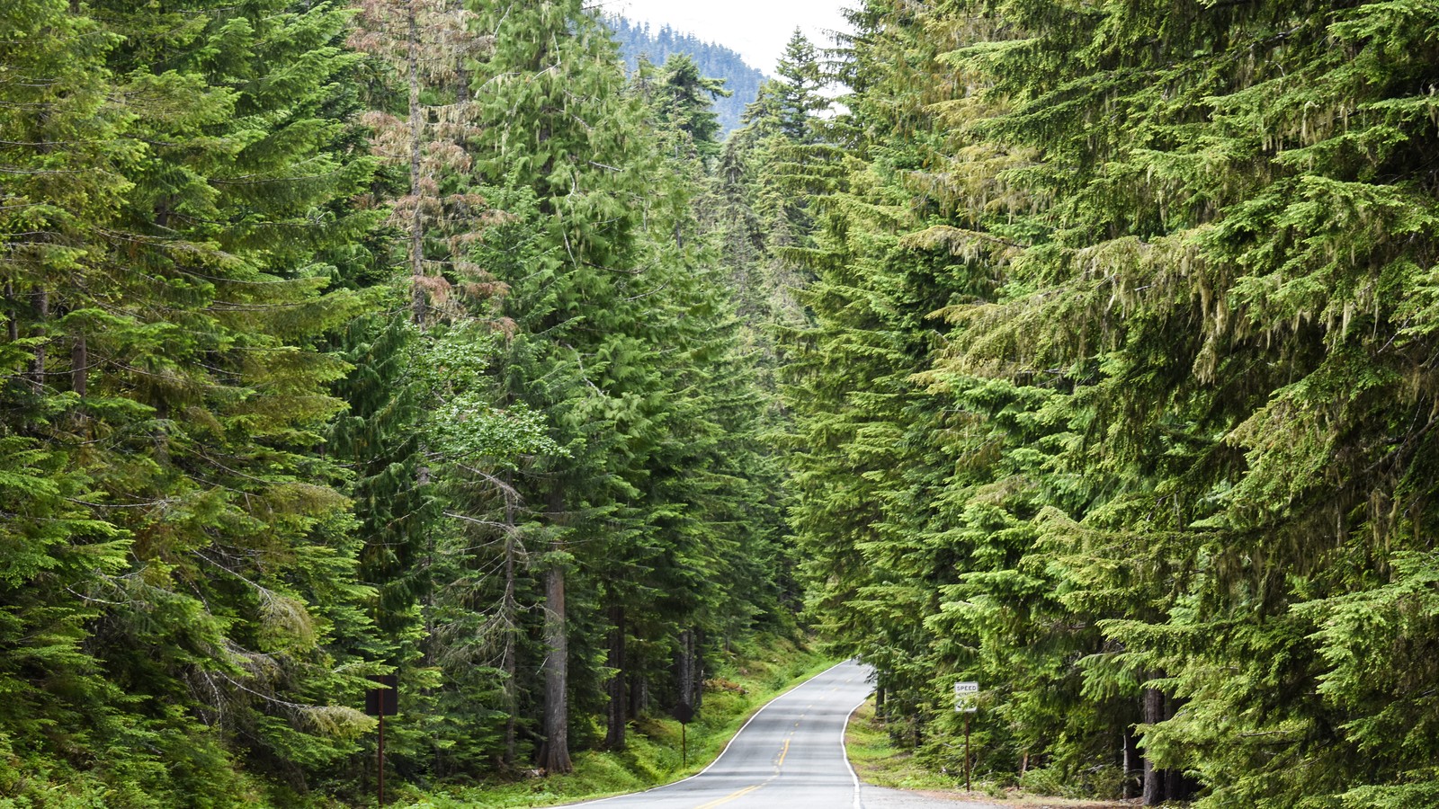 From Stuck to Starting: A Guide for Hesitant Dreamers